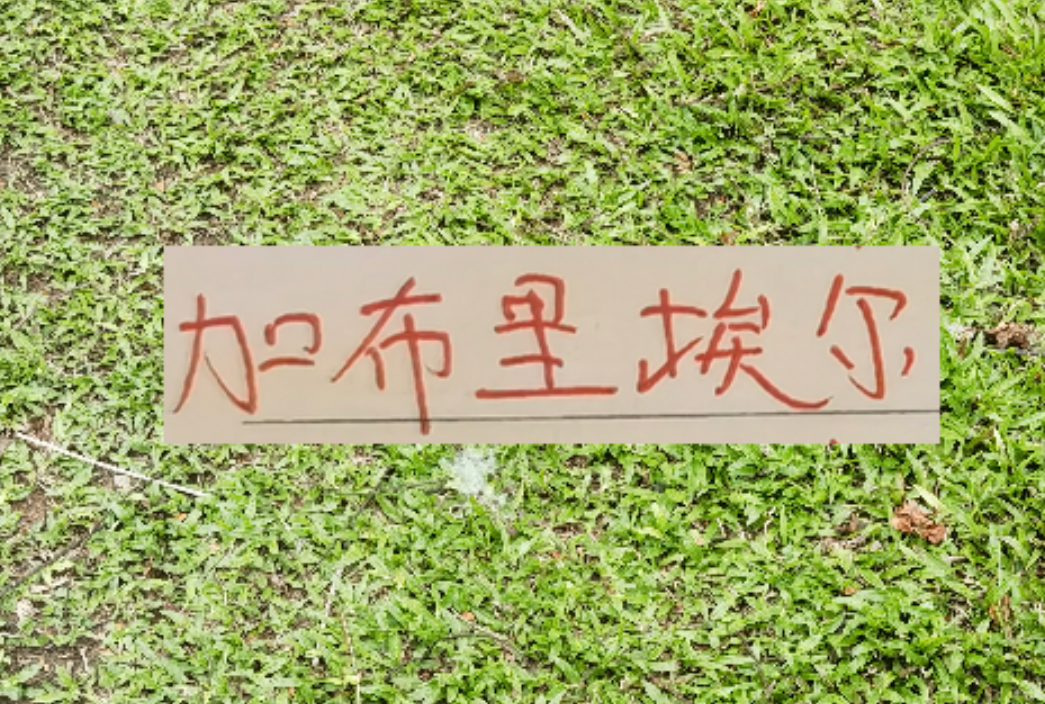 j9-拦不住申花降维打击！加布里不管咋样也是 低配版海港巴尔加斯